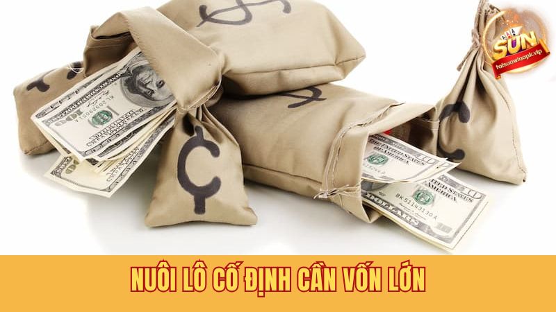 Để áp dụng cách nuôi lô cố định cần nguồn vốn lớn