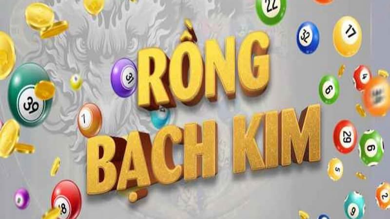 Tìm hiểu khái niệm lô rồng bạch kim là gì?