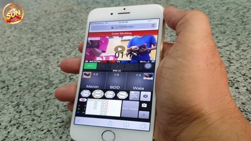 Quy tắc cá cược đá gà online giống như thực tế
